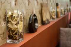 21389435_1623922050993404_1354076815_o